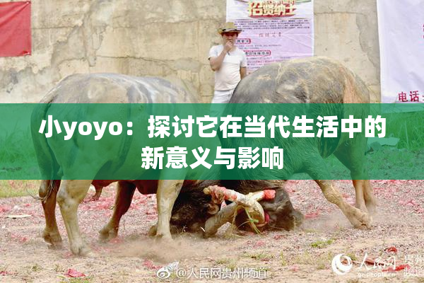 小yoyo：探讨它在当代生活中的新意义与影响