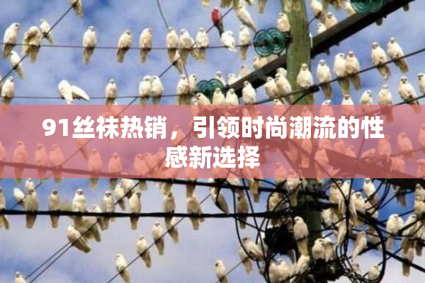 91丝袜热销，引领时尚潮流的性感新选择