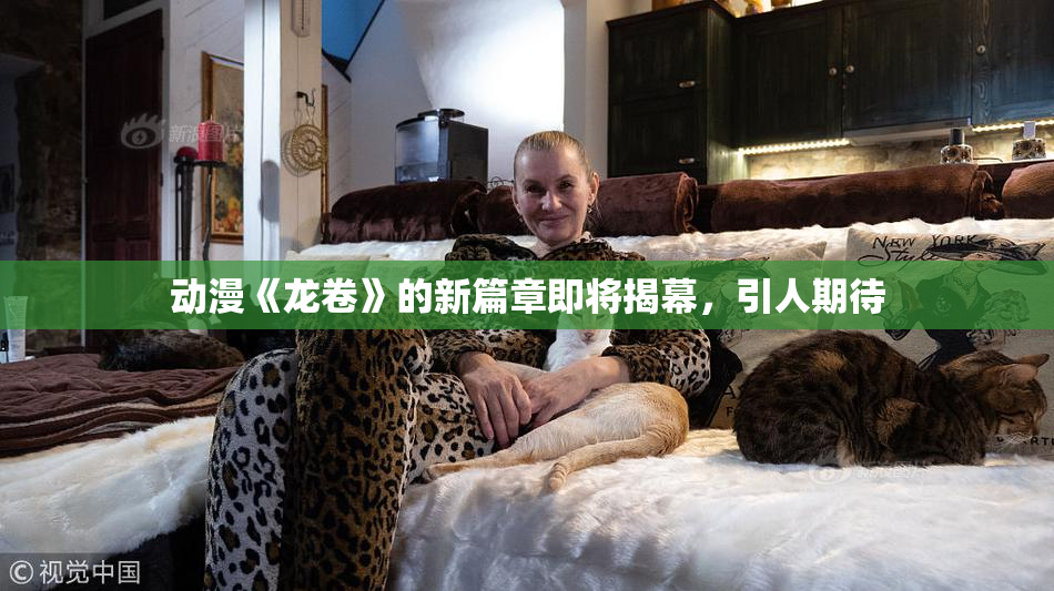 动漫《龙卷》的新篇章即将揭幕，引人期待