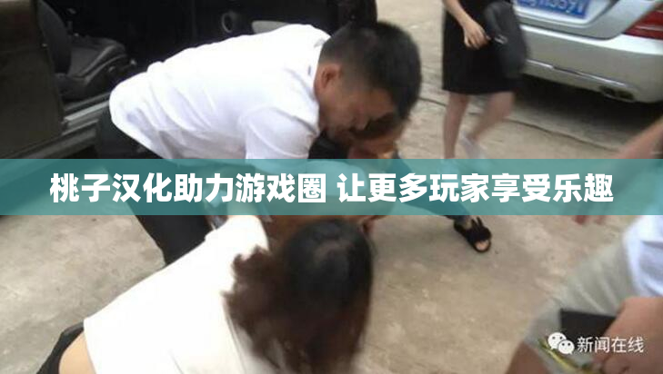 桃子汉化助力游戏圈 让更多玩家享受乐趣