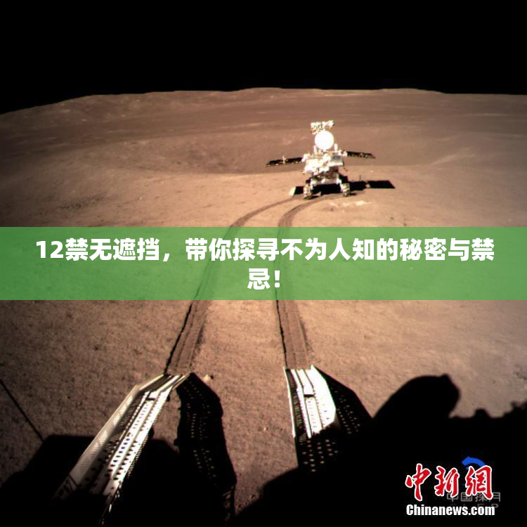 12禁无遮挡，带你探寻不为人知的秘密与禁忌！
