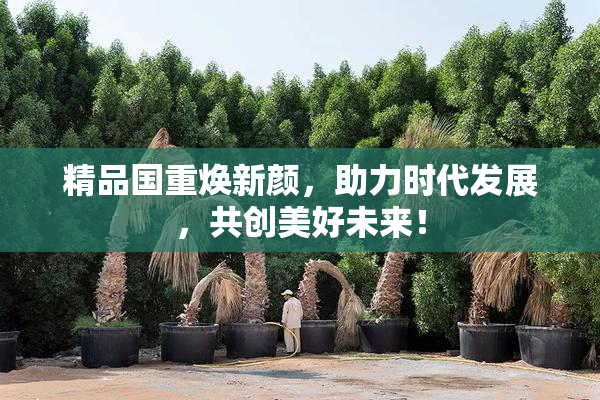 精品国重焕新颜，助力时代发展，共创美好未来！