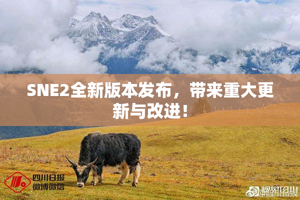 SNE2全新版本发布，带来重大更新与改进！