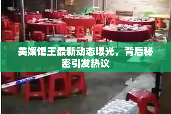 美媛馆王最新动态曝光，背后秘密引发热议