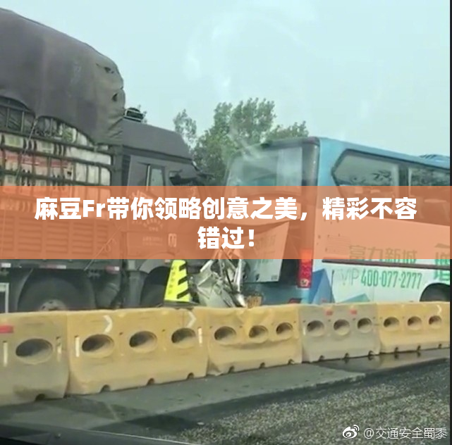 麻豆Fr带你领略创意之美，精彩不容错过！