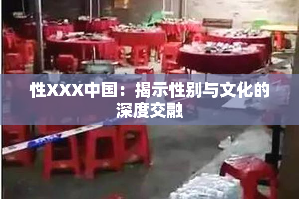 性XXX中国：揭示性别与文化的深度交融