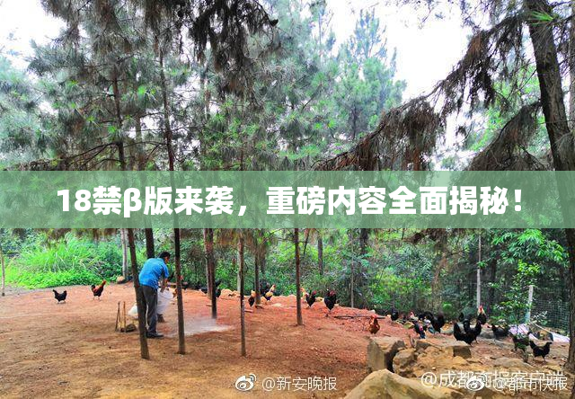 18禁β版来袭，重磅内容全面揭秘！