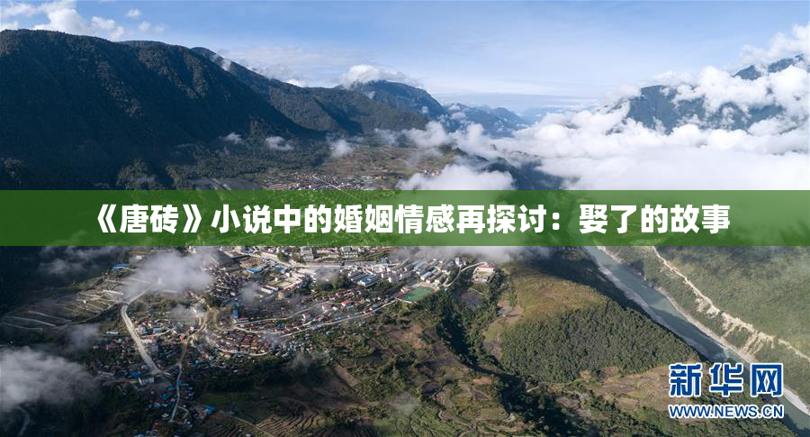 《唐砖》小说中的婚姻情感再探讨：娶了的故事