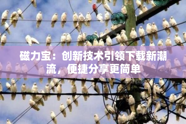 磁力宝：创新技术引领下载新潮流，便捷分享更简单