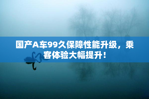 国产A车99久保障性能升级，乘客体验大幅提升！