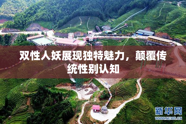 双性人妖展现独特魅力，颠覆传统性别认知