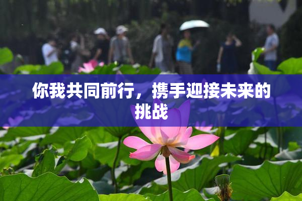 你我共同前行，携手迎接未来的挑战