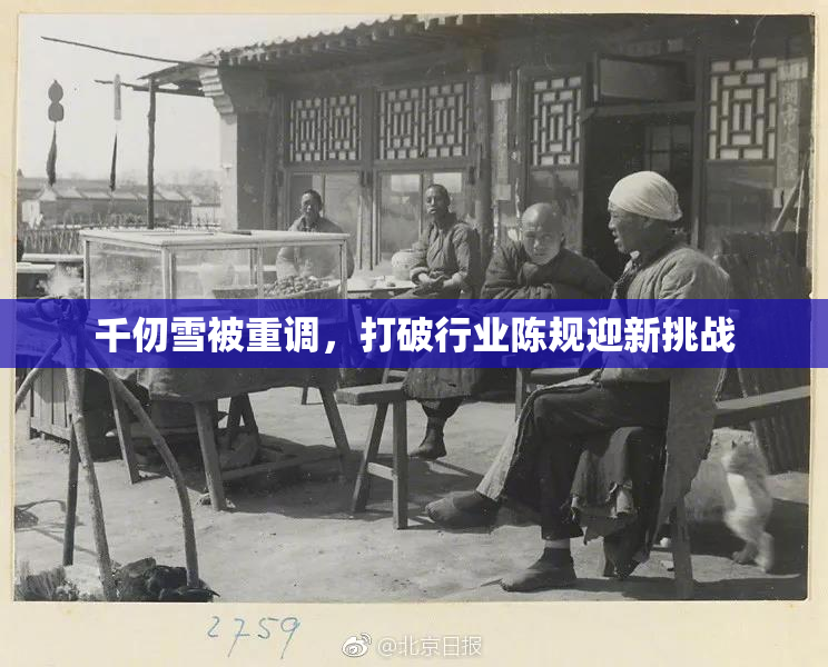 千仞雪被重调，打破行业陈规迎新挑战