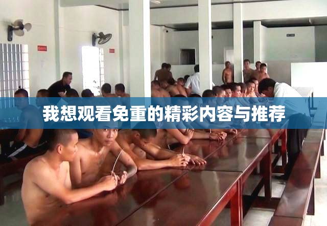 我想观看免重的精彩内容与推荐