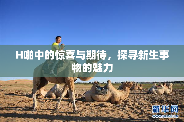 H啪中的惊喜与期待，探寻新生事物的魅力