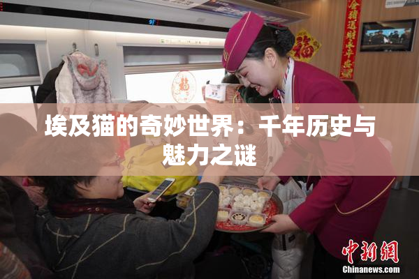 埃及猫的奇妙世界：千年历史与魅力之谜