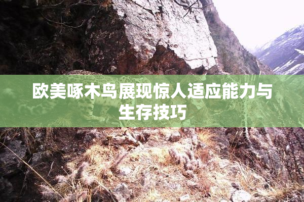 欧美啄木鸟展现惊人适应能力与生存技巧
