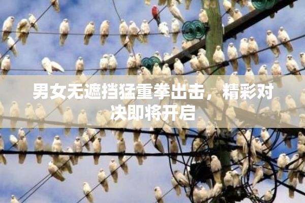 男女无遮挡猛重拳出击，精彩对决即将开启