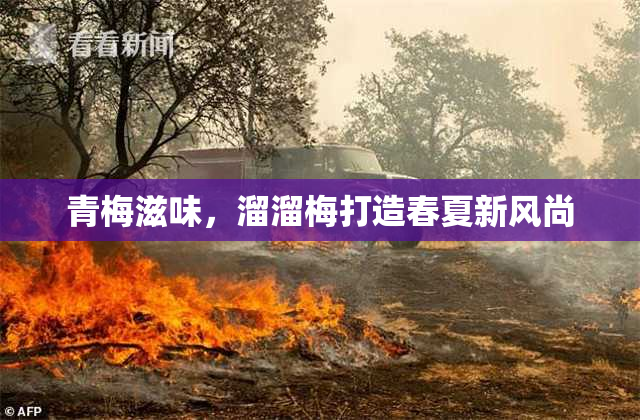青梅滋味，溜溜梅打造春夏新风尚