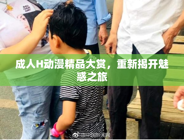 成人H动漫精品大赏，重新揭开魅惑之旅