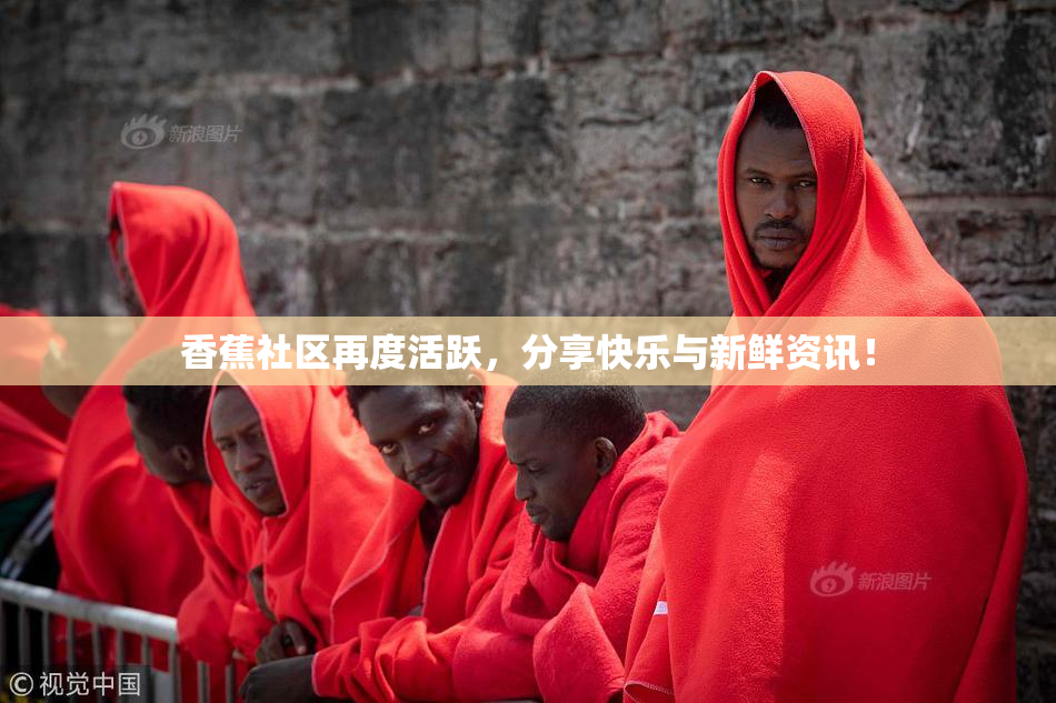 香蕉社区再度活跃，分享快乐与新鲜资讯！