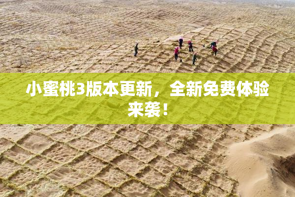 小蜜桃3版本更新，全新免费体验来袭！