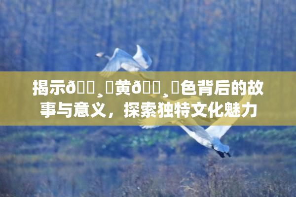 揭示🌸‌黄🌸‌色背后的故事与意义，探索独特文化魅力