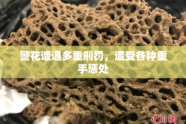 警花遭遇多重刑罚，遭受各种重手惩处