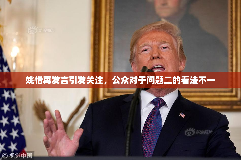 姚惜再发言引发关注，公众对于问题二的看法不一