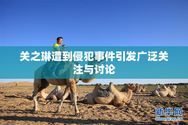 关之琳遭到侵犯事件引发广泛关注与讨论
