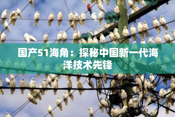国产51海角：探秘中国新一代海洋技术先锋
