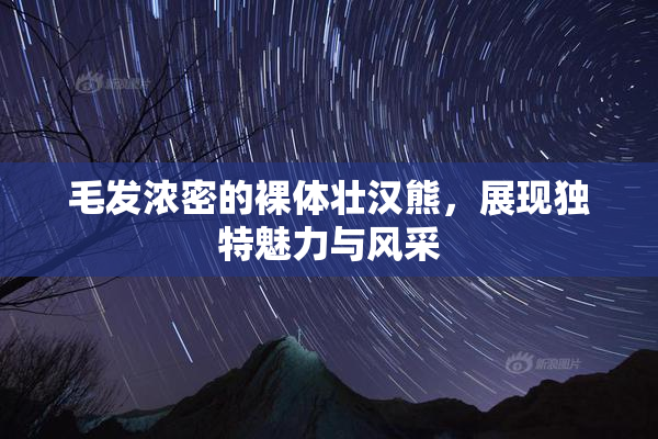 毛发浓密的裸体壮汉熊，展现独特魅力与风采