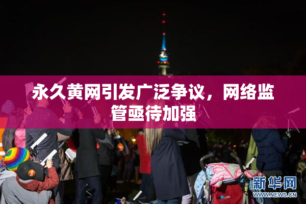 永久黄网引发广泛争议，网络监管亟待加强