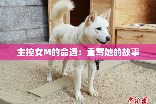 主控女M的命运：重写她的故事