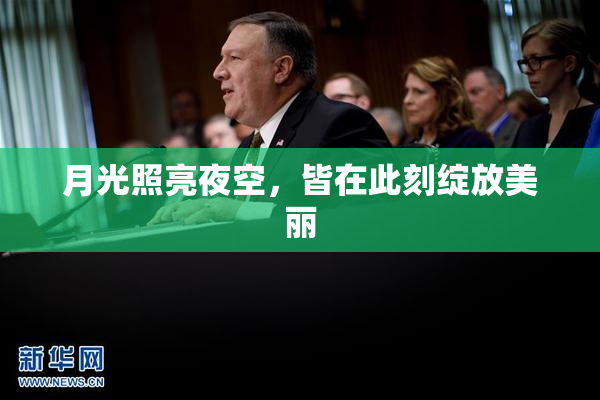 月光照亮夜空，皆在此刻绽放美丽