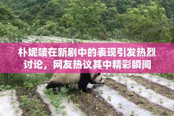 朴妮唛在新剧中的表现引发热烈讨论，网友热议其中精彩瞬间
