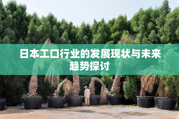 日本工口行业的发展现状与未来趋势探讨