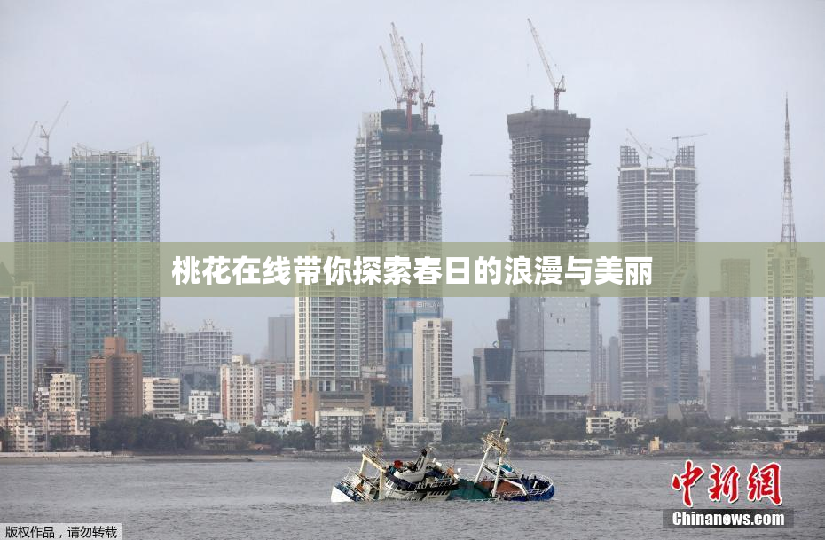 桃花在线带你探索春日的浪漫与美丽