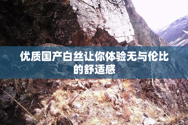 优质国产白丝让你体验无与伦比的舒适感