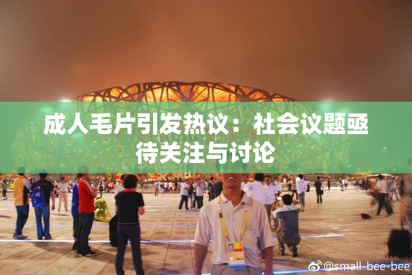 成人毛片引发热议：社会议题亟待关注与讨论