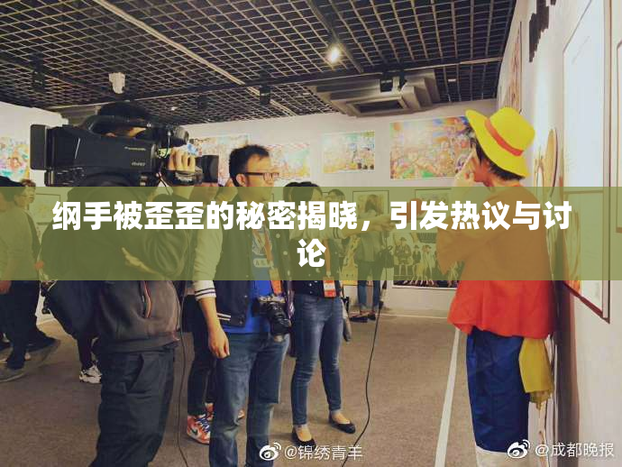 纲手被歪歪的秘密揭晓，引发热议与讨论
