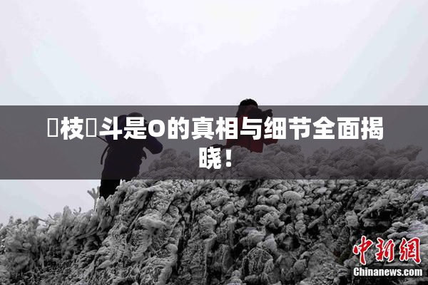 狛枝凪斗是O的真相与细节全面揭晓！