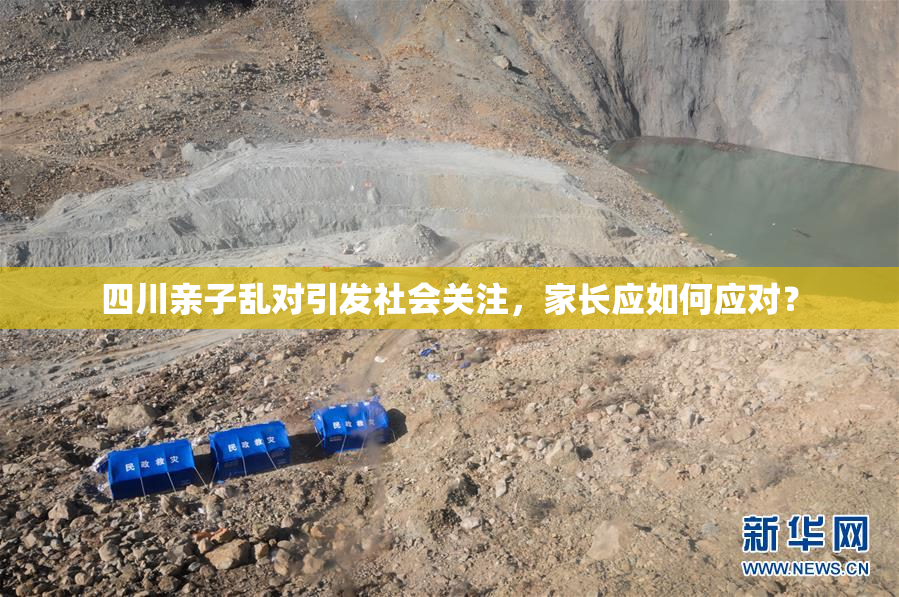 四川亲子乱对引发社会关注，家长应如何应对？