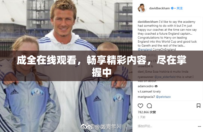 成全在线观看，畅享精彩内容，尽在掌握中