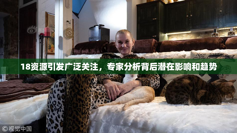 18资源引发广泛关注，专家分析背后潜在影响和趋势