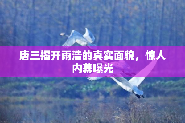 唐三揭开雨浩的真实面貌，惊人内幕曝光