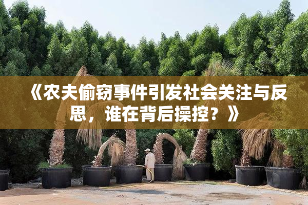 《农夫偷窃事件引发社会关注与反思，谁在背后操控？》