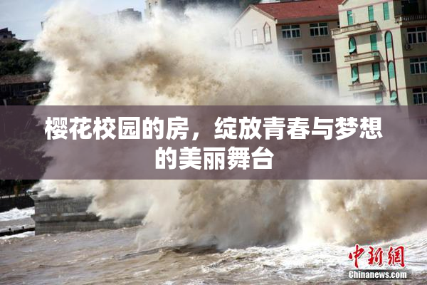 樱花校园的房，绽放青春与梦想的美丽舞台