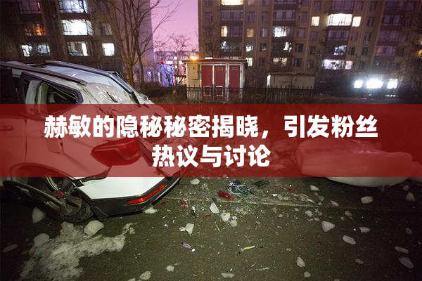 赫敏的隐秘秘密揭晓，引发粉丝热议与讨论