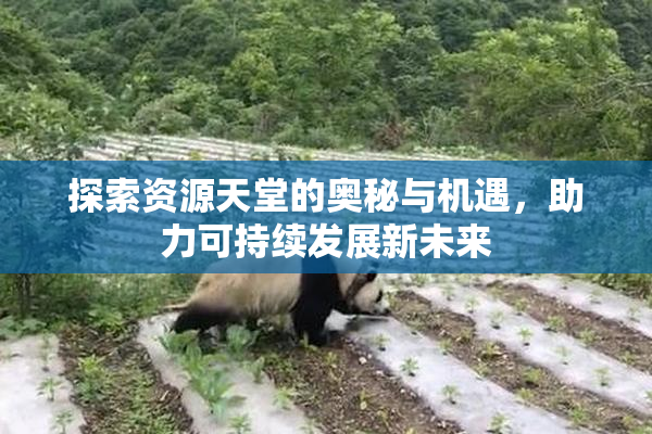 探索资源天堂的奥秘与机遇，助力可持续发展新未来